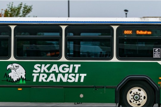 Green colour bus