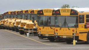 Couple of school buses parked.